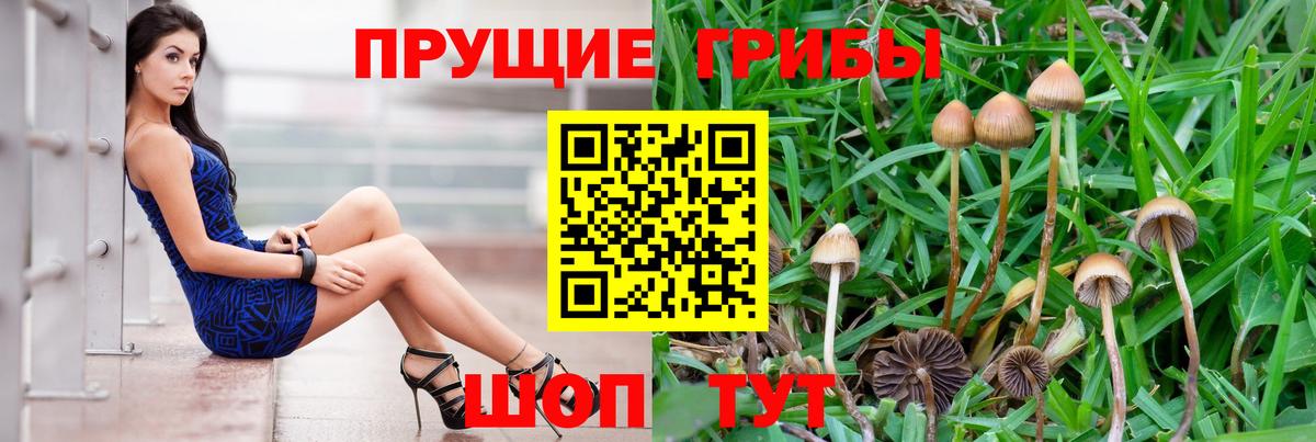 Малоярославец  Псилоцибиновые грибы ЛСД  Вход с VPN 